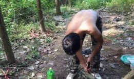 户外虎子被爆料视频,揭秘真实事件背后的真相